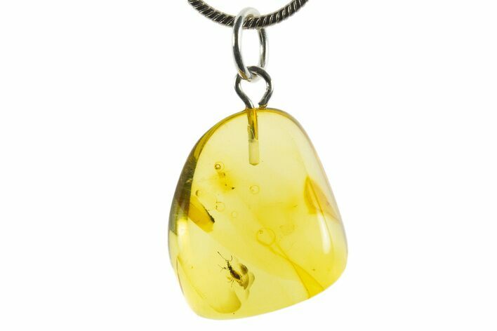 Polished Baltic Amber Pendant (Necklace) - Contains Insect! #339517
